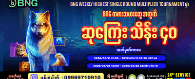 အထူးပရိုမိုးရှင်းများ ရရှိနိုင်သည်
